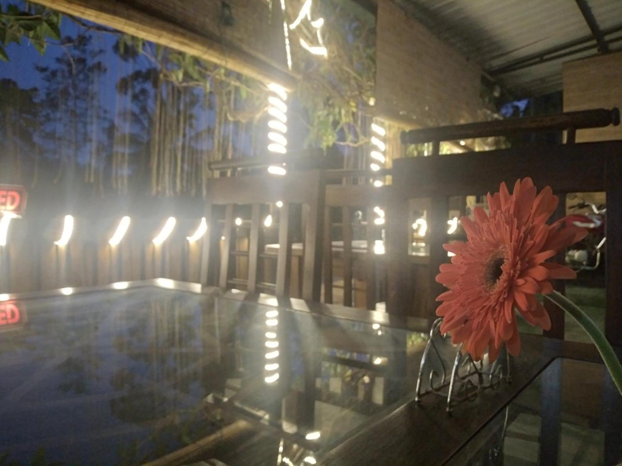 Ella Nature Life Guest & Restaurant -Free Pickup From Ella Esterno foto