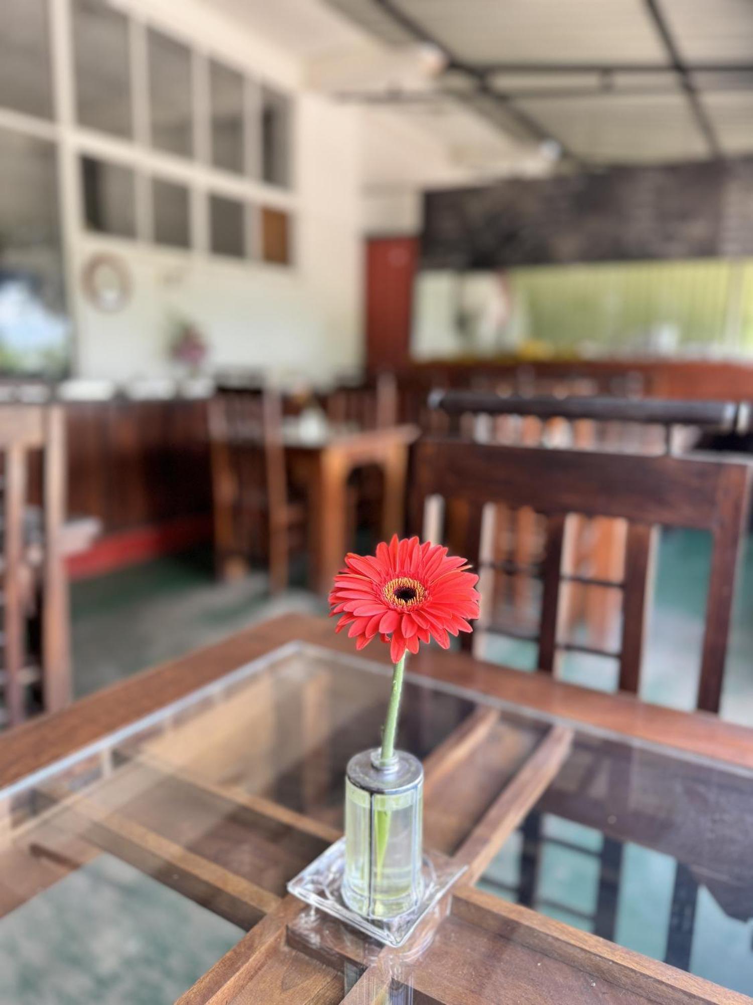 Ella Nature Life Guest & Restaurant -Free Pickup From Ella Esterno foto